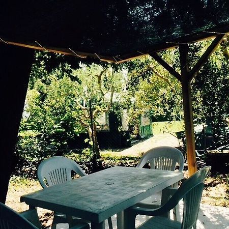 Agriturismo La Mora Assisi Ngoại thất bức ảnh