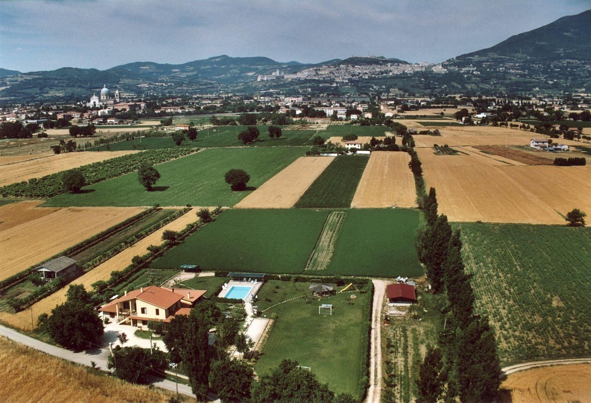 Agriturismo La Mora Assisi Ngoại thất bức ảnh