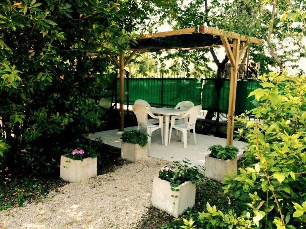 Agriturismo La Mora Assisi Ngoại thất bức ảnh